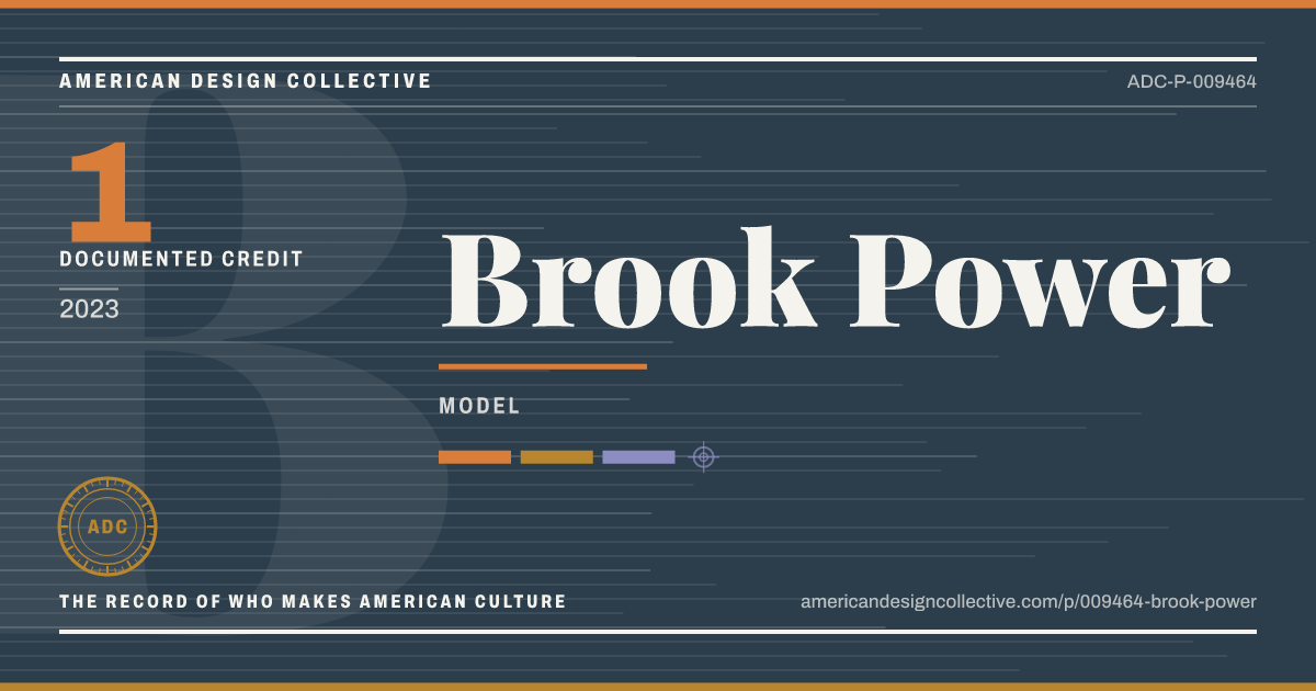 Registry card for Brook Power: the ADC seal, Brook Power, and how much is on record.